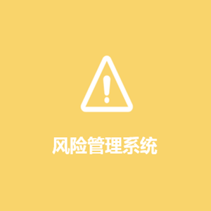 风险管理信息系统